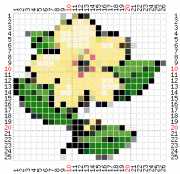 pattern Plants Flowers