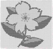 pattern Plants Flowers