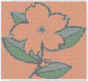 pattern Plants Flowers