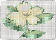 pattern Plants Flowers