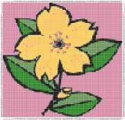 pattern Plants Flowers