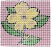 pattern Plants Flowers
