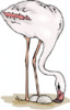 image  Animals 