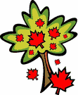 image Plants Trees Countries Canada