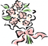 image  Plants Flowers