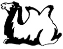 image Animals Camels