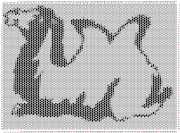pattern Animals Camels