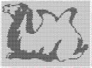 pattern Animals Camels