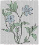 pattern Plants Flowers