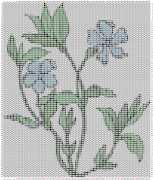pattern Plants Flowers