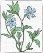 pattern Plants Flowers
