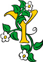 image Plants Flowers Letters & numbers Flowers