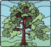 image  Plants Trees