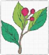 pattern Plants Trees
