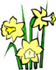 image  Plants Flowers