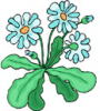 image  Plants 