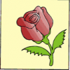 image  Plants Roses