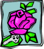 image  Plants Roses