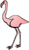 image  Animals 