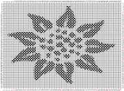 pattern Weather Sun
