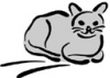 image  Animals Cats