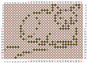 pattern Animals Cats
