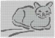 pattern Animals Cats