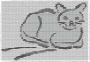 pattern Animals Cats
