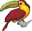 image Animals Birds
