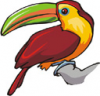 image  Animals Birds