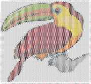pattern Animals Birds