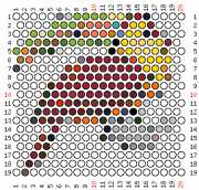 pattern Animals Birds