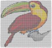 pattern Animals Birds