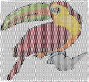 pattern Animals Birds