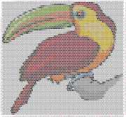 pattern Animals Birds