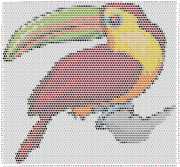 pattern Animals Birds