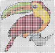 pattern Animals Birds