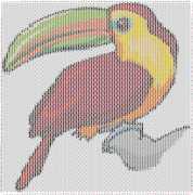 pattern Animals Birds