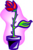 image  Plants Flowers