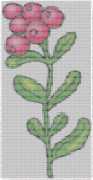 pattern Plants Flowers