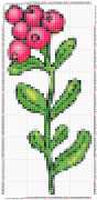 pattern Plants Flowers