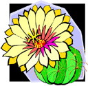 image Plants Cactuses