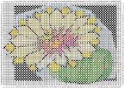 pattern Plants Cactuses