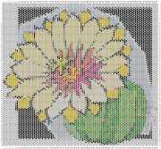 pattern Plants Cactuses