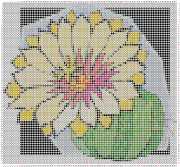 pattern Plants Cactuses