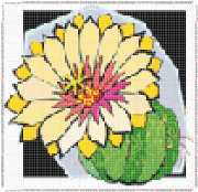 pattern Plants Cactuses