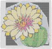 pattern Plants Cactuses