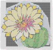 pattern Plants Cactuses