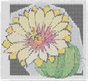 pattern Plants Cactuses