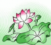 image  Plants 